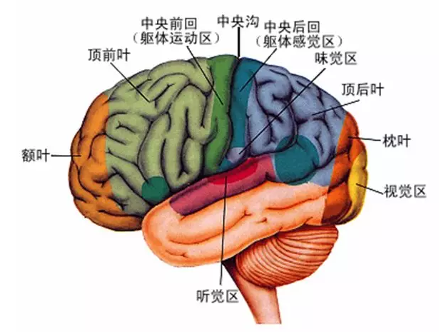 經(jīng)顱磁刺激治療你知道多少？